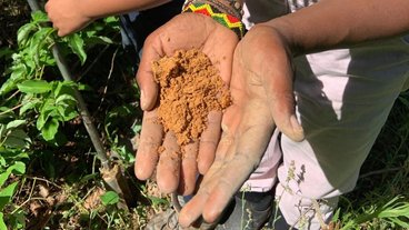 A photo of a Black farmer's hands holding soil; photo via Tiffany LaShae