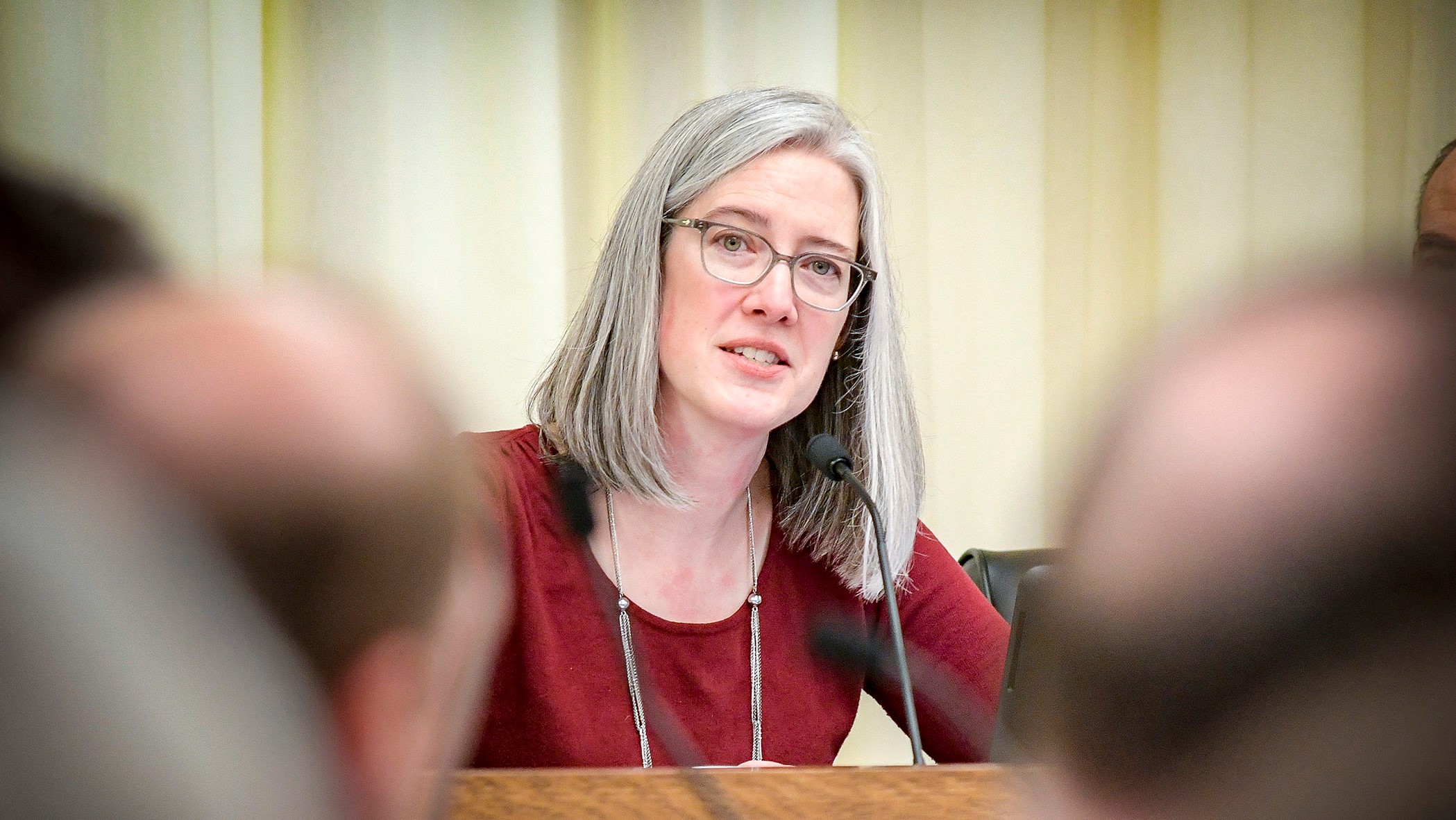 Tracy Twine speaking to the Minnesota legislature; photo by Andrew Vonbank