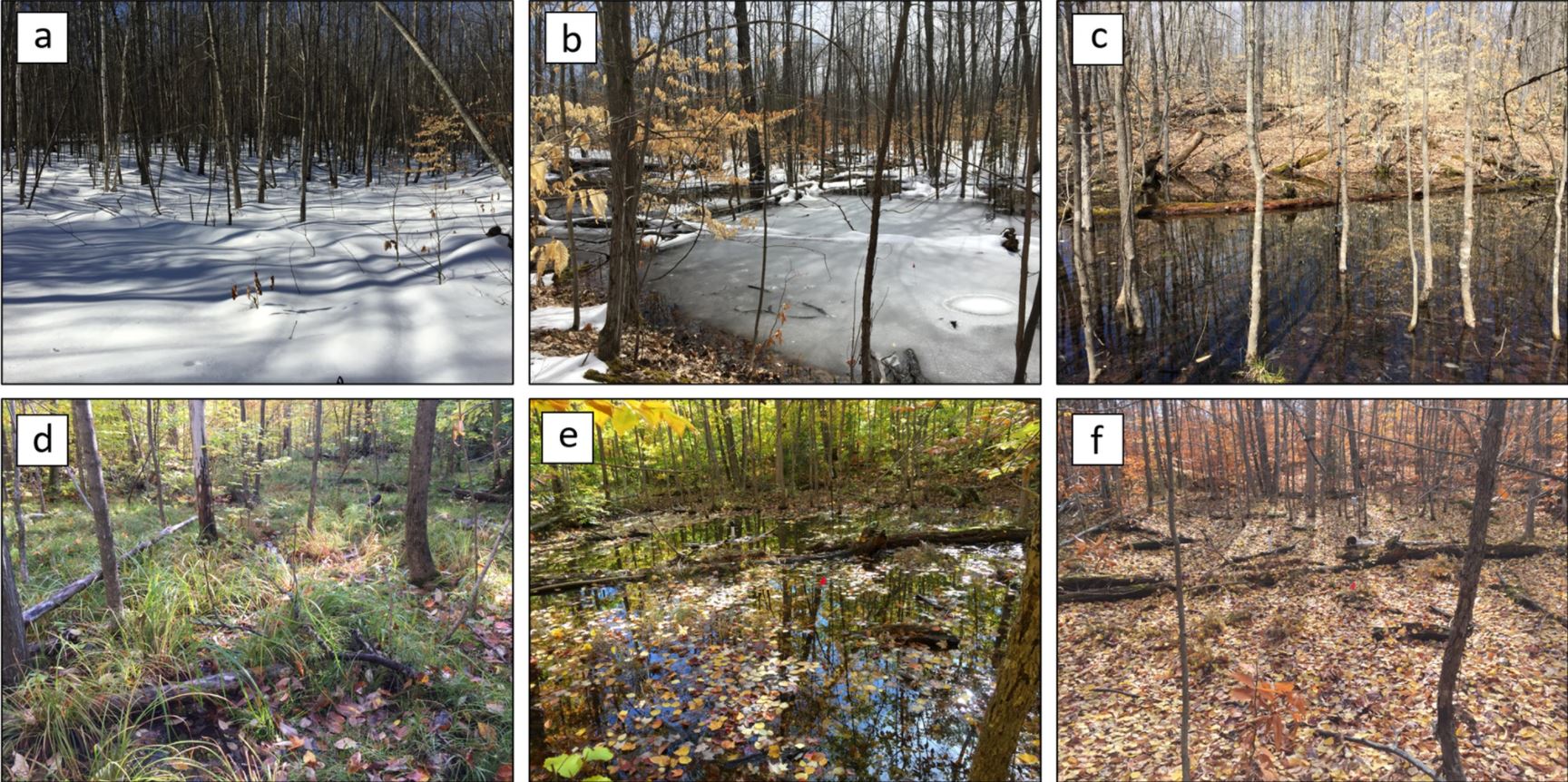 A figure with six photos of small vernal ponds in different seasons