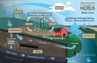 An illustration of the water cycle including a farm and a field